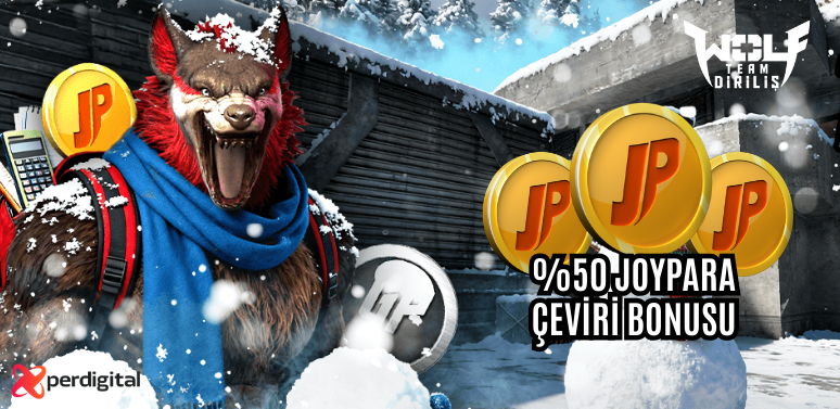 WOLFTEAM NAKİT GENEL